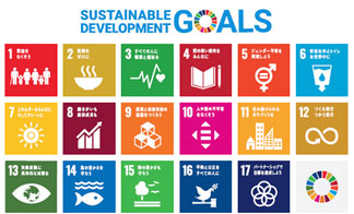 SDGs（17の目標のアイコン）