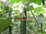 「GAP」農業生産工程管理
