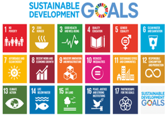 「SDGs：17の国際目標」図