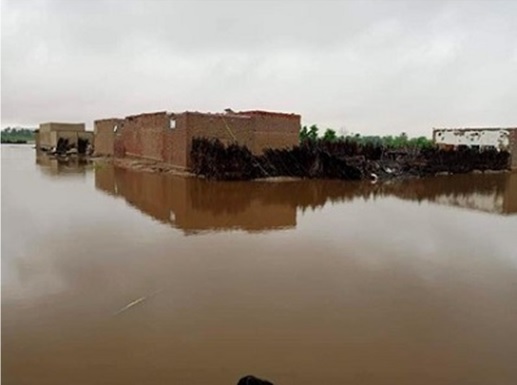 写真　洪水被害を受けた農村と家（ジェトロ撮影）