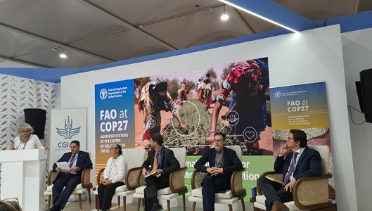 写真　COP27でのFAOによる農業と気候変動対策セッション（ジェトロ撮影）